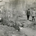 sr Terijoki Salmela-09 сжигание май 1918