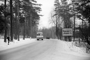 Приморское шоссе в Зеленогорске 1963 год