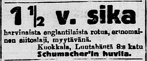 Джон А. Шумахер продажа породистой свиньи 1919