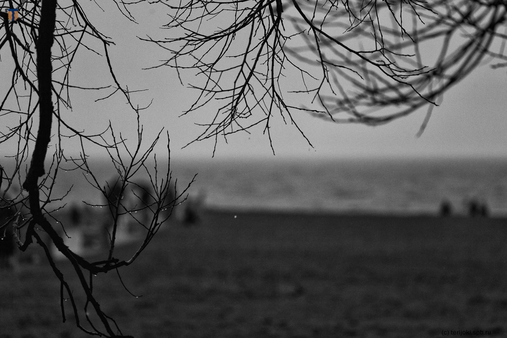 03.11.2019. Черно-белая погода. Фото А. Браво
