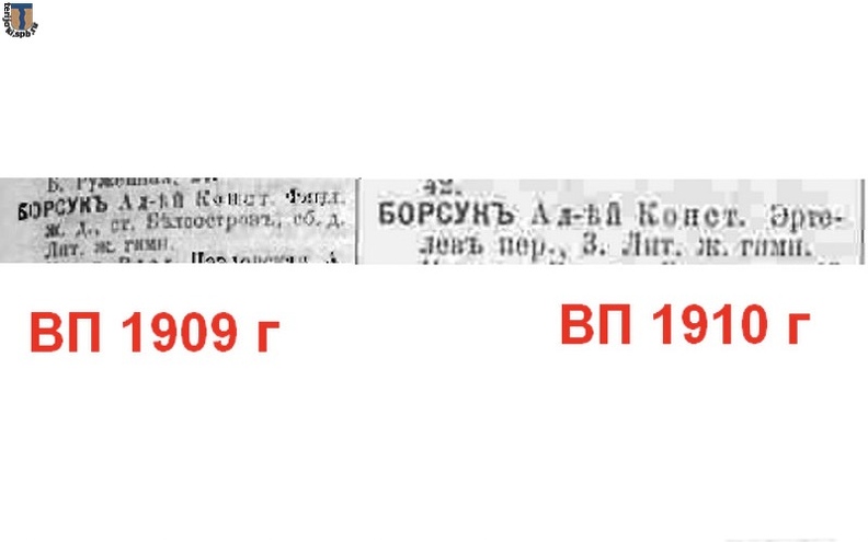 Рис.29. «Весь Петербург» А. К. Борсук